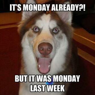 Mondays