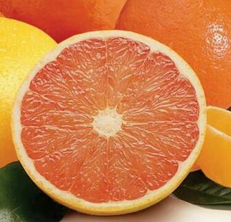 Grapefruit Size Comparison HD Wallpaper Background Image