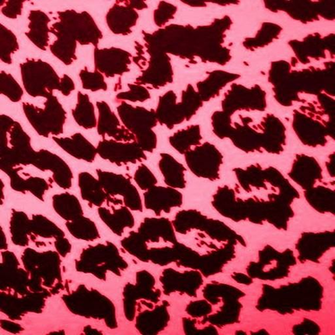 Amazon Hot Pink Leopard Print Live Wallpaper Appstore For