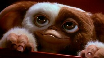 Gizmo Gremlins Wallpaper