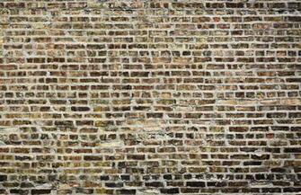 Brick Wallpaper Chennai