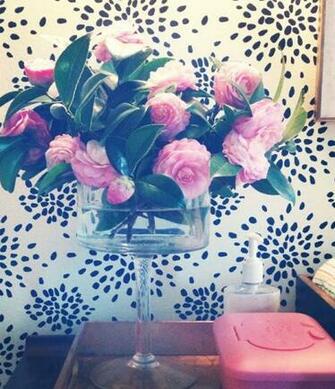 Camellias Entertaining