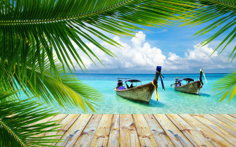 HD Tropical Wallpaper On