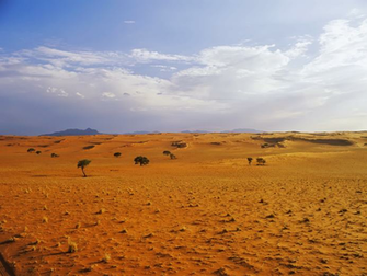 Desert Landscape Wallpaper Conservatives Pee Themselves With Joy