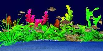 3d Sunfish Screensaver
