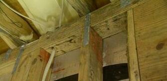 Prevent And Remove Mold In Your Home Today S Homeowner