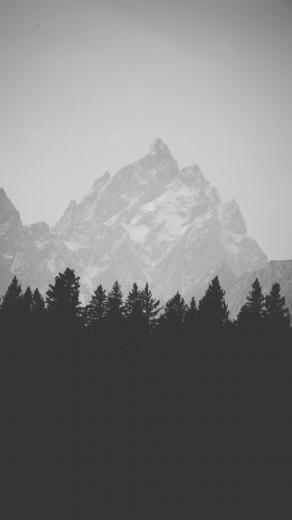 Winter Mountain Peak Pine Forest Line iPhone Plus HD Wallpaper
