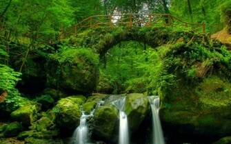 At In Nature Wallpaper HD Collection
