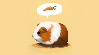 Guinea Pigs Pig Wallpaper Cartoons
