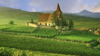 France Vineyard Wallpaper