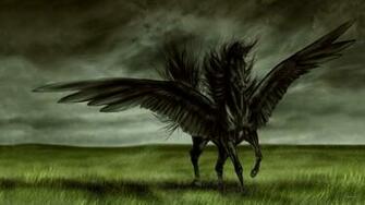 All Wallpaper Black Horse New Best HD