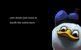 Dolan Wallpaper Id Wallpapervortex