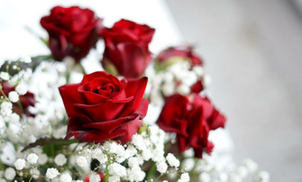 Valentine Week List Hug Day Kiss S