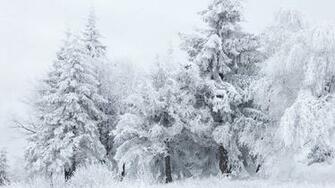 Snow Winter Fantasy Mac HD Wallpaper January Background Nature