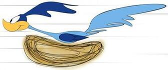 Road Runner Cartoon Face