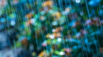 Wallpaper Macro Flowers Background Rain Blue