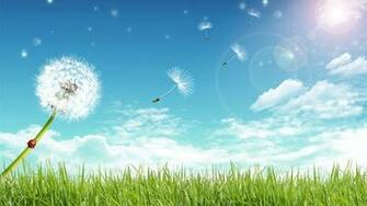 The Wind Carries Dandelion Wallpaper Resolution