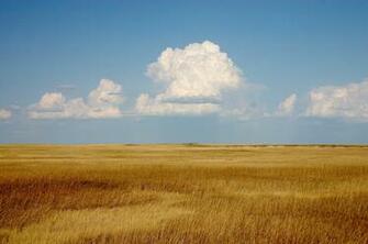 File Cumulus Clouds Over Yellow Prairie2 Jpg Wikipedia The