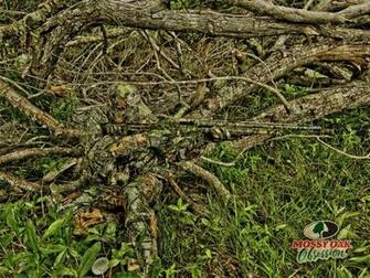 Pink Mossy Oak Desktop Background Wallpaper For