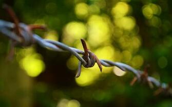 Barb Wire Wallpaper Px HDwallsource