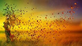 Autumn Sunset HD Desktop Wallpaper Widescreen High