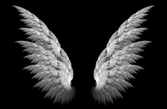 Wings 3d Black Background Wallpaper Desktop