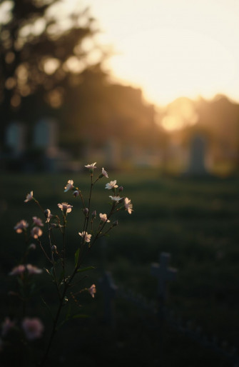 Funeral Background Pictures