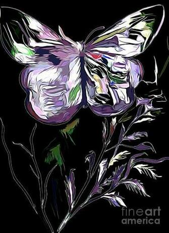 Butterfly On Black Background Mixed Media By Debra Lynch