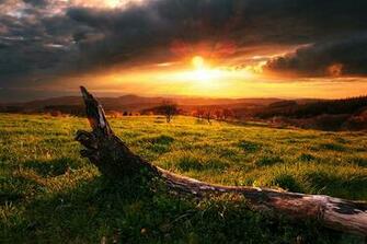 Image Sfondi HD Natura Prateria Al Tramonto Jpg Animal