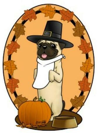 Cartoon Pug Wallpaper HD