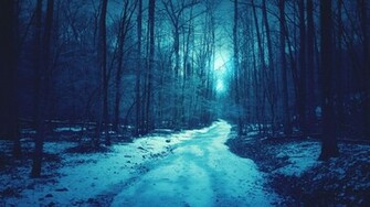 Background Winter Shallow Blue Background Forest Snow Desktop