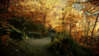 Wallpaper Toamn Close Autumn