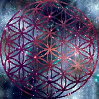 Flower Of Life By Ludi Vine