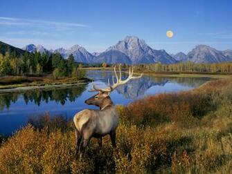 Category Nature HD Wallpaper Subcategory Mountains