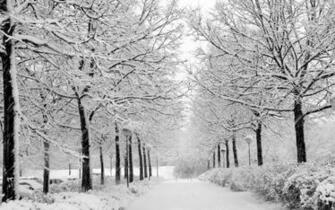 Winter Computer Wallpaper