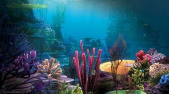 Wallpaper Ocean Sea Widescreen Corral