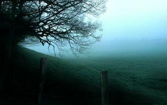 Foggy Forest HD Wallpaper Theme Bin Customization
