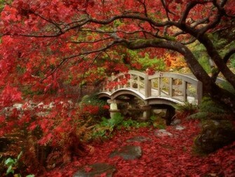 HD Wallpaper Japanese Garden British Columbia For Desktop