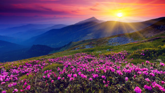 Computer Wallpaper 4k Nature
