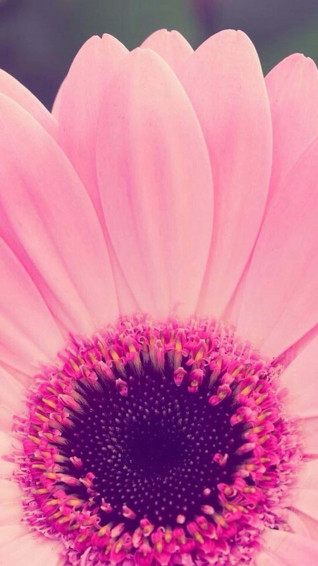 Cute Girly Phone Wallpaper