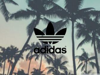 Adidas Palm Trees Background 4k HD Desktop Wallpaper For