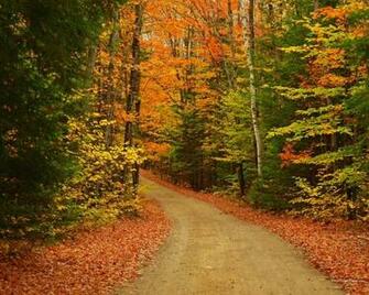 Autumn
