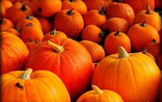 Autumn Pumpkin Wallpaper Image