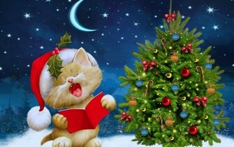 Merry Christmas Kitten Ultra HD Wallpaper UHD Net