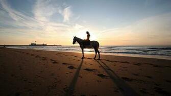 Horse Riding HD Wallpaper Background Image