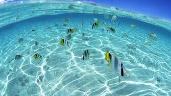 Fonds D Cran La S Lection Nature Et Paysages Paradisiaques