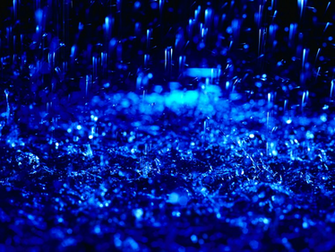 File Name Rain Drops Wallpaper