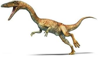 Image Take A Quiz About Yourself Coelophysis Facts