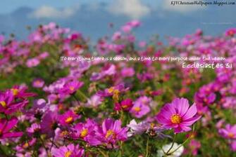 King James Kjb Versed Christian Wallpaper March