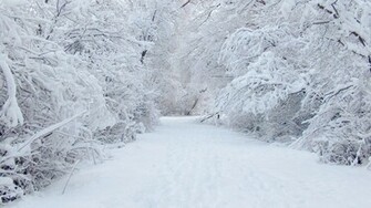 Snow Road Wallpaper